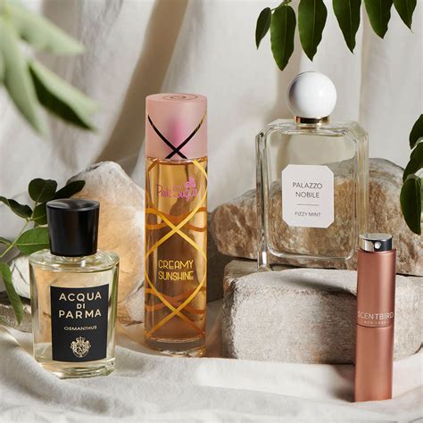 italy: perfume -news -china -chinese -alibaba -amazon